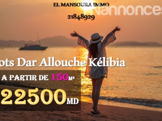 Terrain location