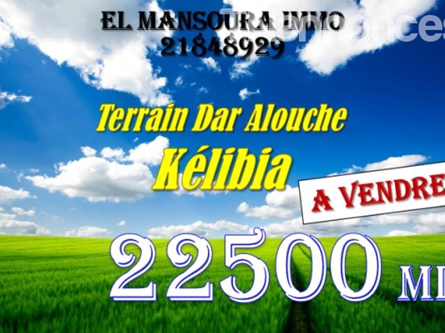 Terrain vente