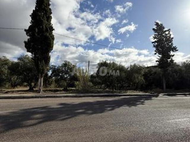 Propriété vente à Taounate