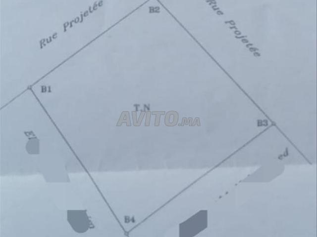 Propriété vente à Imouzzer Des Ida Ou Tanane, Oued ed Dahab-Lagouira