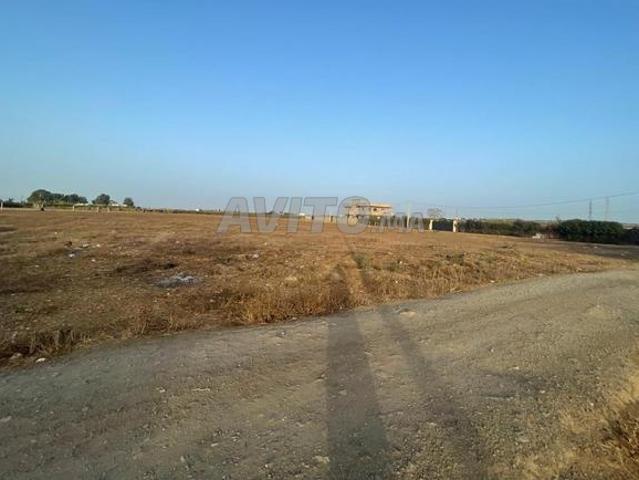 Propriété vente à Gharb-Chrarda-Beni Hssen