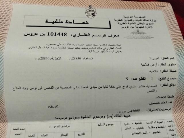 Terrain vente à Ben Arous