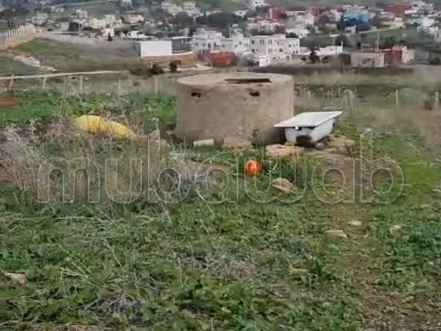 Terrain vente à El Fahs, Tanger-Tétouan