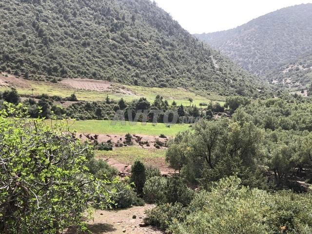 Propriété vente à L'Oriental