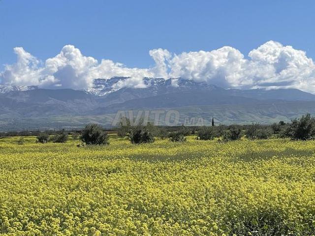 Propriété vente à Al Haouz, L'Oriental