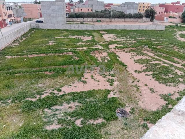 Propriété vente à Oued ed Dahab-Lagouira