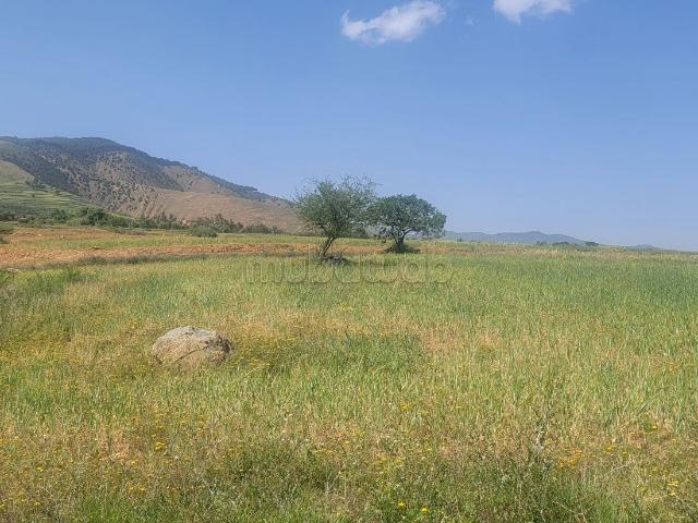 Terrain vente à Al Haouz, L'Oriental