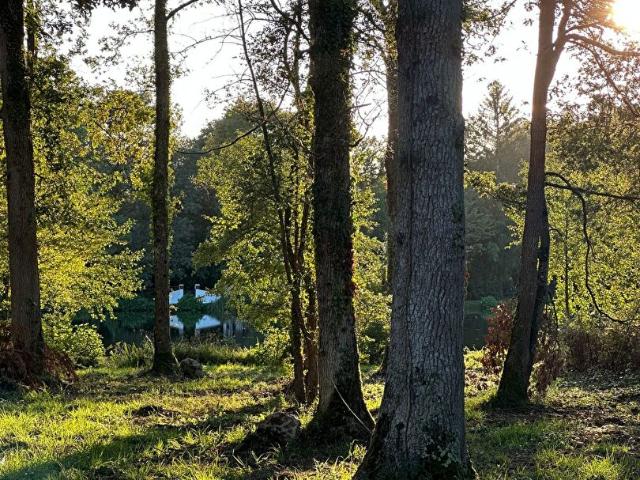 Terrain vente à Montargis, Bazoches-sur-le-betz