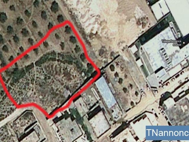Terrain location