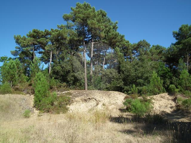 Terrain vente à Rochefort, Saint-augustin
