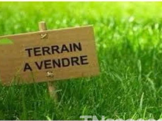 Terrain vente