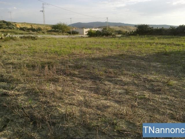 Terrain vente