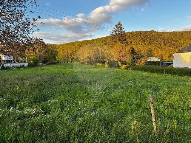 Terrain vente à Thann-Guebwiller, Buhl