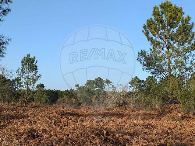 Terrain vente à France métropolitaine, Tartas