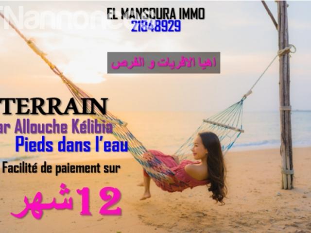 Terrain vente