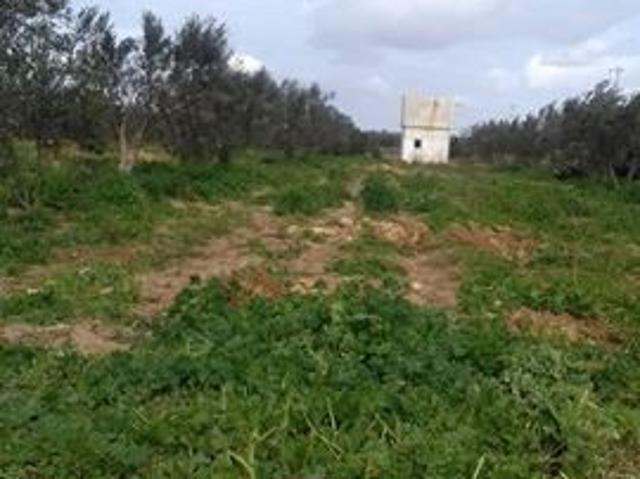 Terrain vente à Ksibet Sousse, Akouda