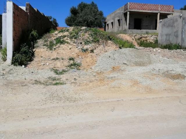 Terrain vente à Douz