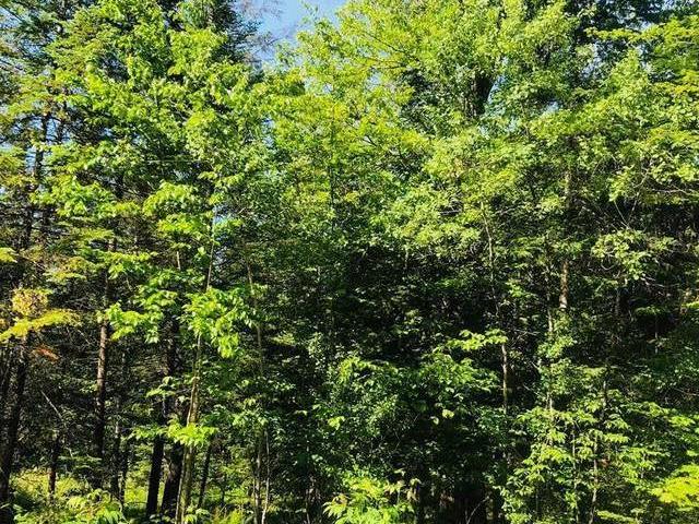 House for sale in Memphrémagog, Quebec