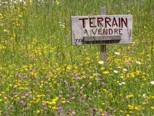 Terrain vente