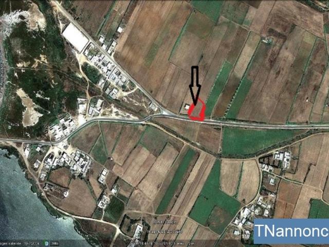 Terrain location