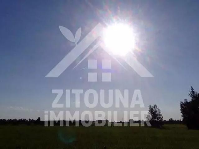 Terrain vente à Ariana, Ariana Ville