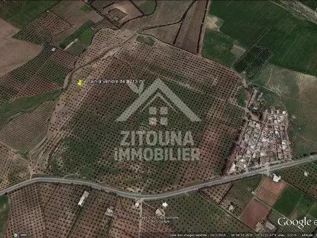 Terrain vente à Zaghouan, Bir Mcherga