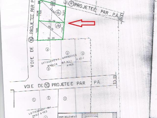 Terrain vente à Bekalta