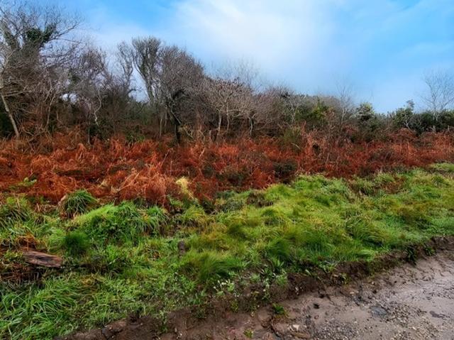 Terrain vente à Châteaulin, Bretagne