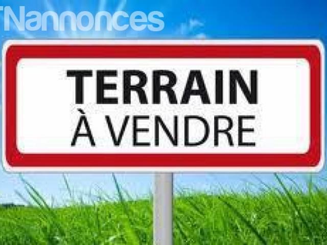 Terrain location