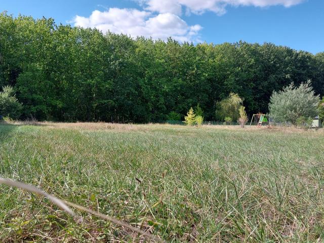 Terrain vente à Villenouvelle, Montauban