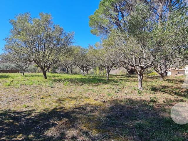 Terrain vente à Arrondissement de Draguignan, Salernes