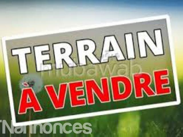 Terrain vente