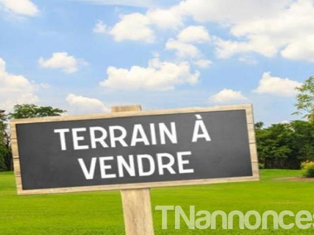 Terrain vente