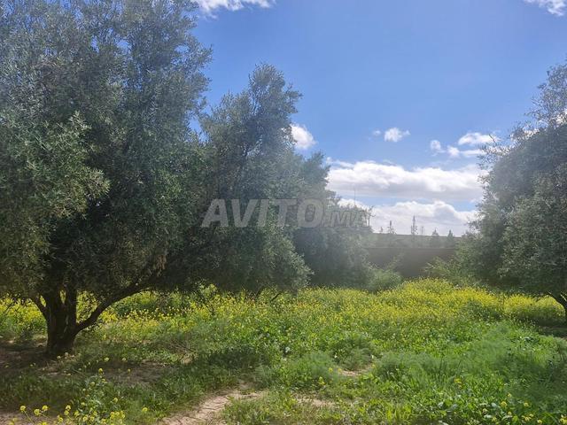 Propriété vente à Agadir, Oued ed Dahab-Lagouira
