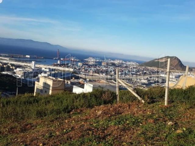 Terrain vente à El Fahs, Tanger-Tétouan