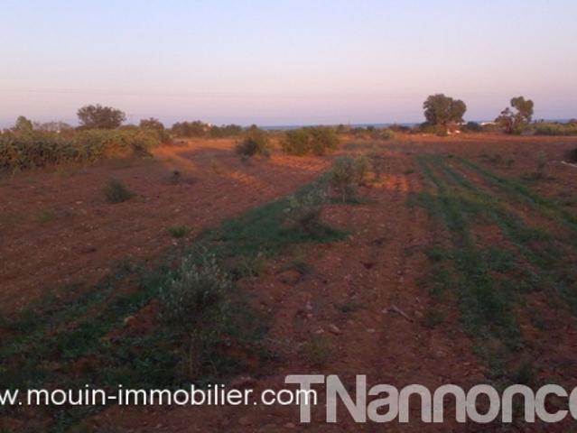 Terrain vente