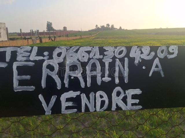 Terrain vente à Berrechid, Gharb-Chrarda-Beni Hssen