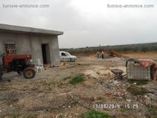 Terrain vente à Bir Mcherga