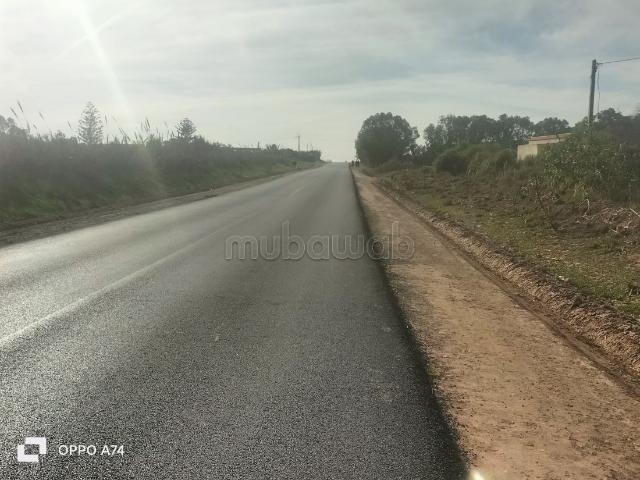 Terrain vente à El Ma, Gharb-Chrarda-Beni Hssen