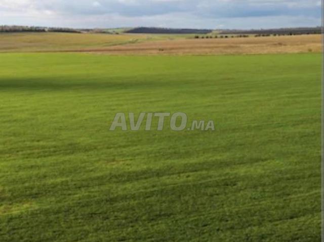Propriété vente à Mellal