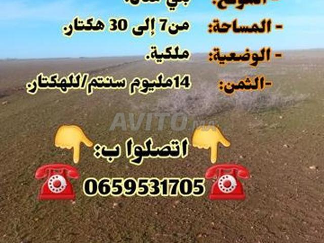 Propriété vente à Mellal