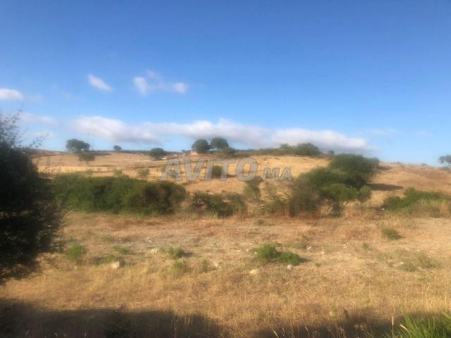 Propriété vente à Tangero, Tanger-Tétouan