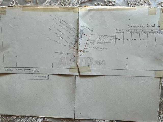 Propriété vente à Imouzzer Des Ida Ou Tanane, Oued ed Dahab-Lagouira