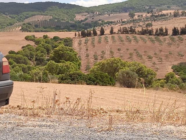 Terrain vente à Bir Mcherga