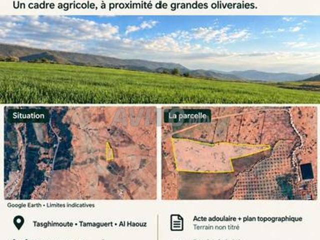 Propriété vente à Al Haouz, L'Oriental