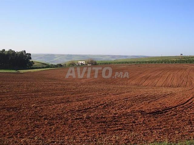 Propriété vente à Slimane, Gharb-Chrarda-Beni Hssen