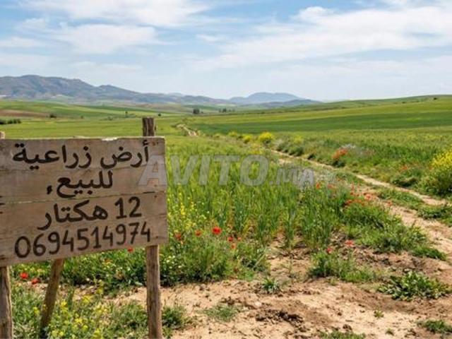Propriété vente à Khémisset