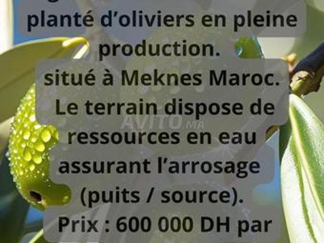 Propriété vente à Meknès