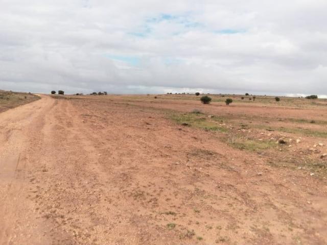 Terrain vente à Bir Mcherga