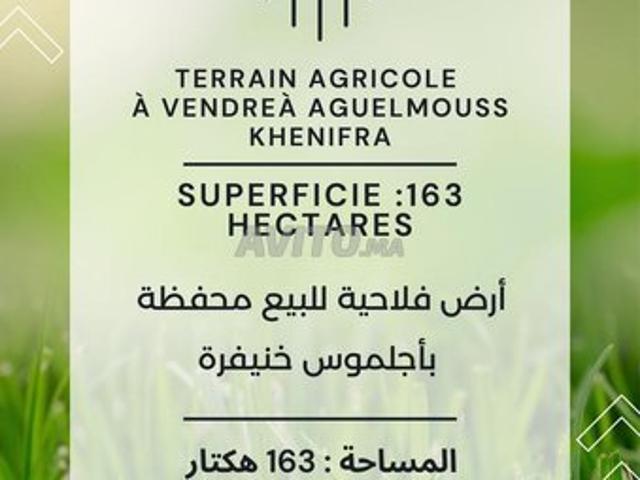 Propriété vente à Khénifra